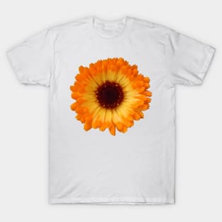 orange daisy T-Shirt